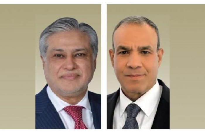 وزيرا خارجية مصر وباكستان يبحثان هاتفياً آخر المستجدات الإقليمية