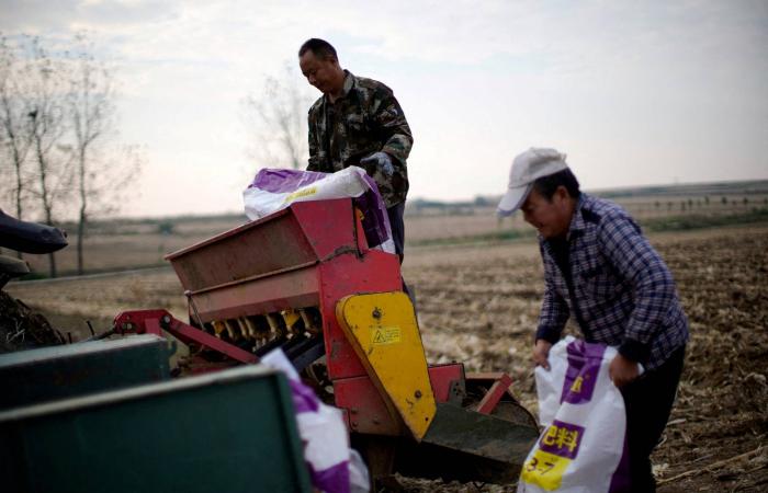 العثور
      على
      جثث
      50
      طفلاً
      و6
      بالغين
      ملقاة
      بمقبرة
      في
      ترينيداد
      وتوباغو