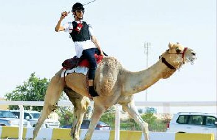 انطلاقة قوية لمهرجان سمو الأمير للهجن على ميدان الشحانية