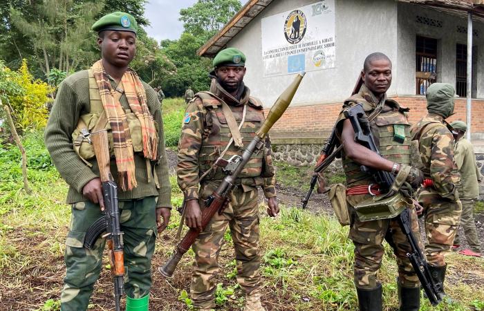 أكبر
      حزب
      في
      تيغراي
      يعلن
      استعادة
      حكم
      المنطقة
      والسلام
      بشمال
      إثيوبيا
      في
      خطر