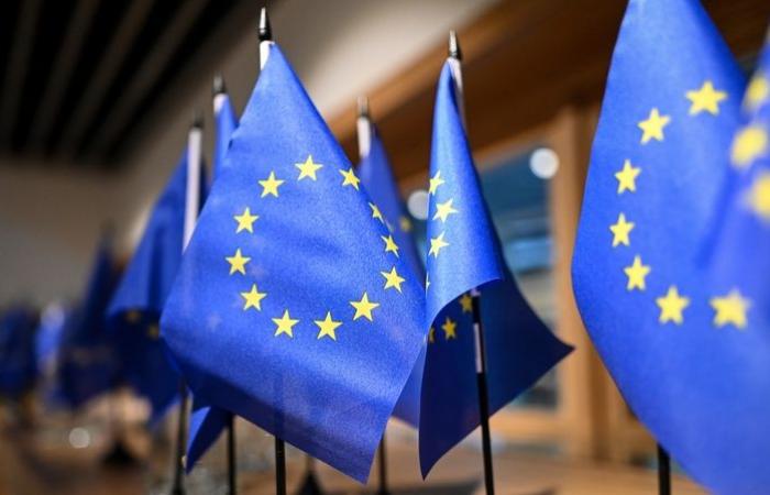 دعوات داخل الاتحاد الأوروبي لتعليق معاهدة الشراكة مع الاحتلال الإسرائيلي وفرض عقوبات على المستوطنين