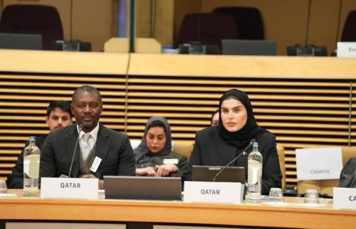 دولة قطر تشارك في الاجتماع الوزاري للجنة الاتصال المخصصة لتنسيق المساعدة الدولية للفلسطينيين