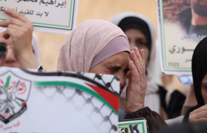 وفد
      أوروبي
      يلتقي
      وزير
      الخارجية
      السوري
      لبحث
      تعزيز
      التعاون
      الأمني