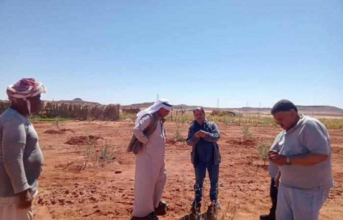 الهلال
      الأحمر:
      ليبيا
      تنقذ
      404
      مهاجرين
      على
      متن
      10
      قوارب