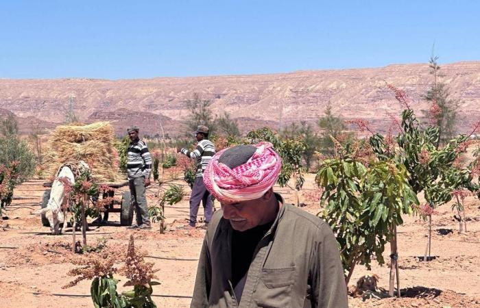 الهلال
      الأحمر:
      ليبيا
      تنقذ
      404
      مهاجرين
      على
      متن
      10
      قوارب