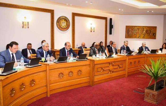 مصر
      تشدد
      على
      عمق
      ومتانة
      العلاقات
      مع
      السعودية