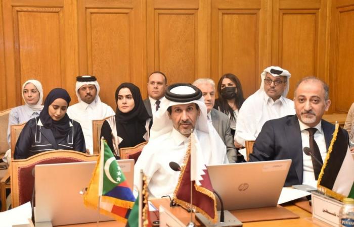 قطر تشارك في الاجتماع التنسيقي للتحضير للاجتماع الوزاري العربي الأوروبي السادس