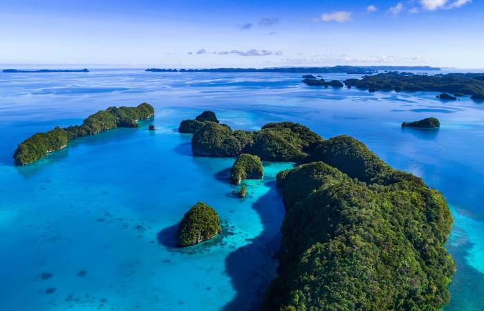 هل تعلم أنّك تدفع رسومًا خفية عندما تغادرة بلدًا ما؟