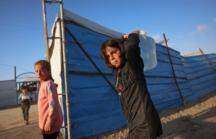 «إعمار
      غزة»
      على
      الطاولة
      مجدداً...
      مسار
      موازٍ
      لـ«مجلس
      السلام»
      ومحاولات
      لكسر
      الجمود