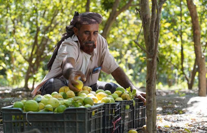 إصلاح
      الطرق
      يُنعش
      الاقتصاد
      الريفي
      في
      اليمن