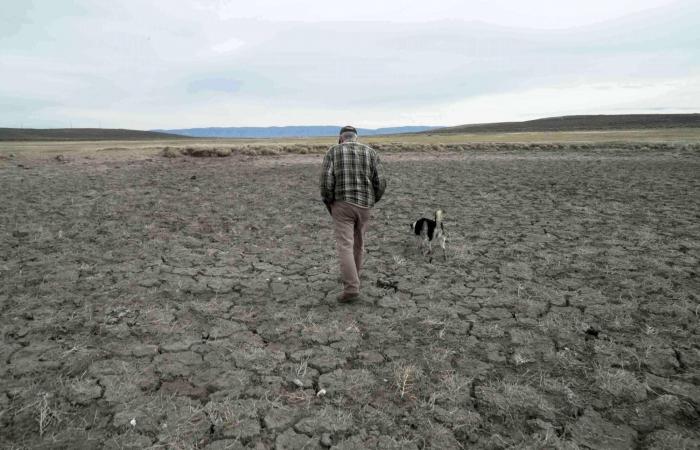 بين
      القانون
      الدولي
      ومنطق
      القوّة:
      أيّ
      عالم
      يتشكّل؟