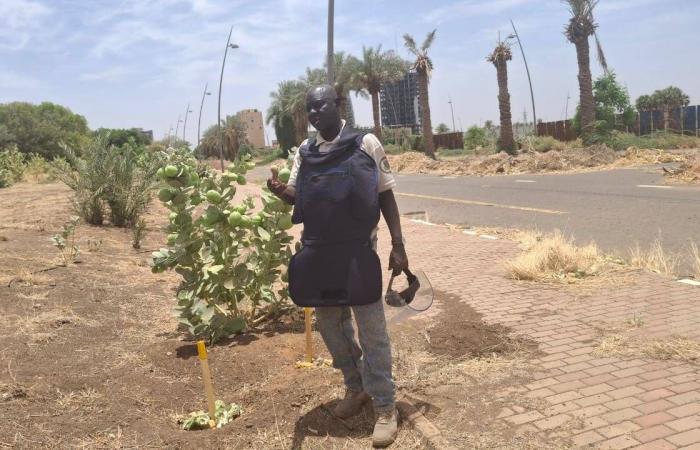 الأمم
      المتحدة
      ترى
      «زخماً
      حقيقياً»
      لحل
      نزاع
      الصحراء