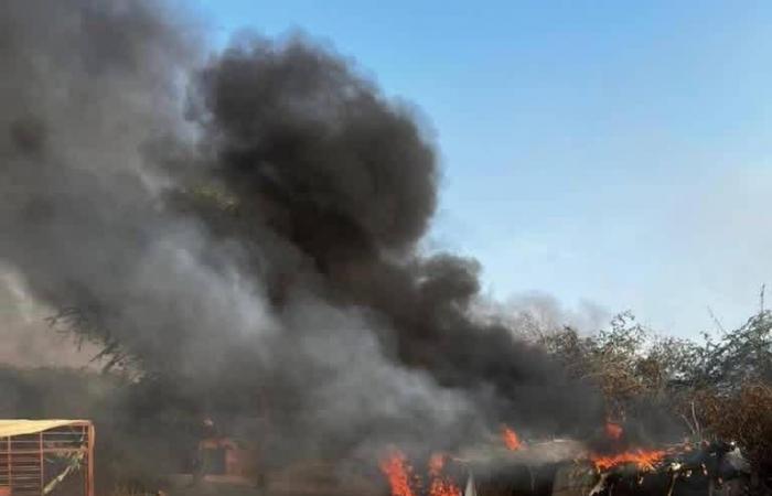 اليمن
      يصعّد
      ملاحقة
      شبكات
      تهريب
      المهاجرين
      الأفارقة