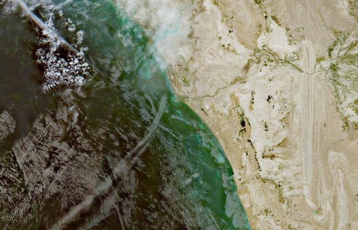 مقتل
      7
      وإصابة
      العشرات
      في
      هجوم
      روسي
      كبير
      على
      أوكرانيا 