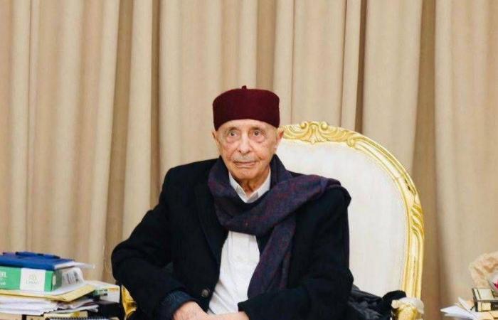 ضغوط
      أممية
      وأميركية
      لعقد
      لقاء
      رئيسَي
      «النواب»
      و«الأعلى
      للدولة»
      الليبيين