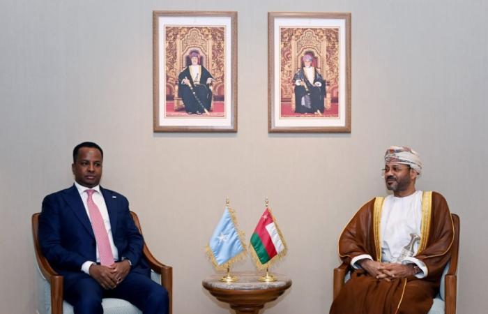 سلطنة عمان تؤكد دعمها لوحدة وسيادة الصومال وعدم الاعتراف بأي كيانات خارج إطار الدولة
