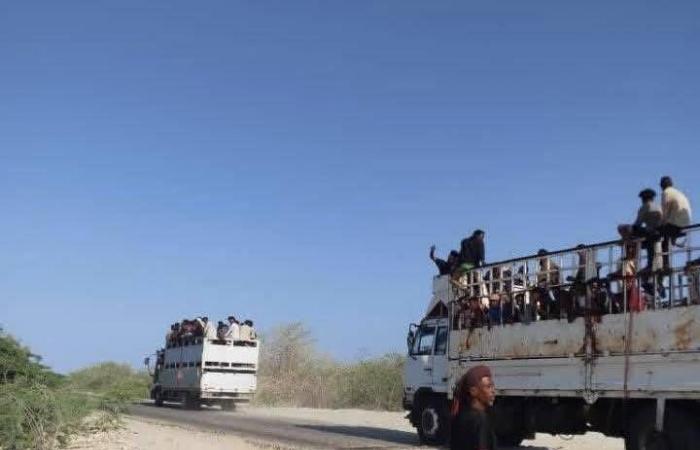 اليمن
      يصعّد
      ملاحقة
      شبكات
      تهريب
      المهاجرين
      الأفارقة