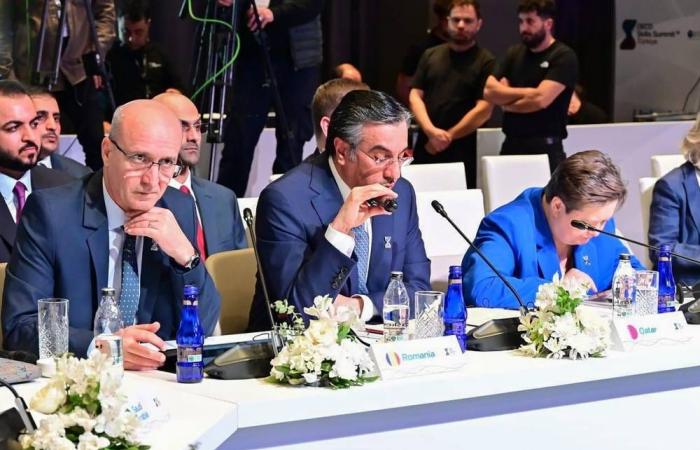 الاستثمار في رأس المال البشري أولوية وطنية