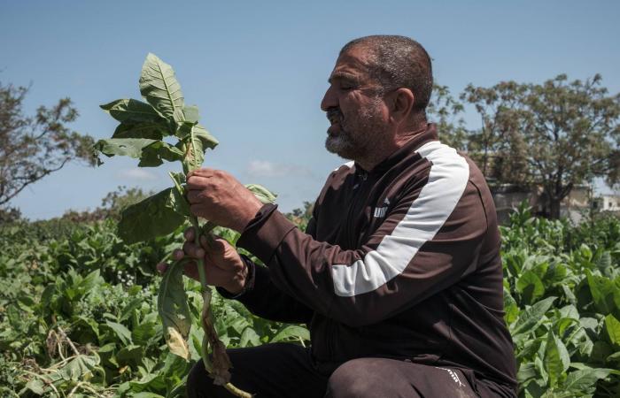 سوق
      الأسهم
      السعودية
      تغلق
      مرتفعة
      0.4
      %
      بسيولة
      بلغت
      1.6
      مليار
      دولار