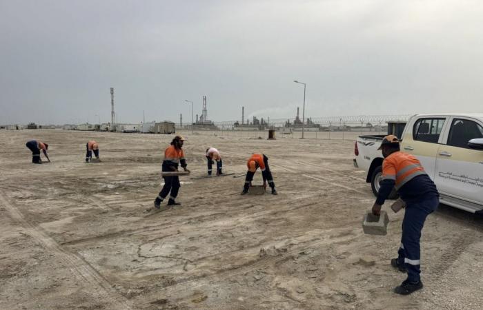 البيئة: تفعيل خدمة إصدار تصاريح مواقف الكبائن في سيلين 