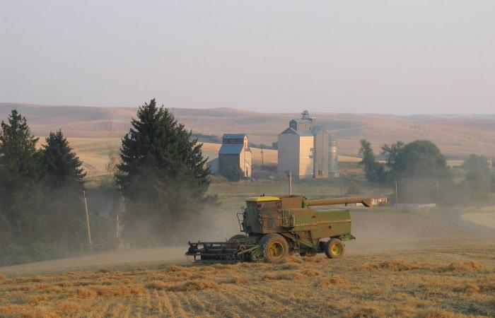 أزمة
      أسمدة
      عالمية...
      كيف
      تهدد
      الحرب
      حصاد
      الحبوب
      في
      العام
      المقبل؟