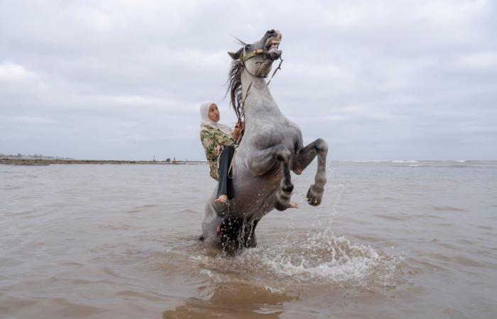 "بنات البارود".. مصوّرة إيطالية توثّق اقتحام النساء لحاجز الفروسية في المغرب