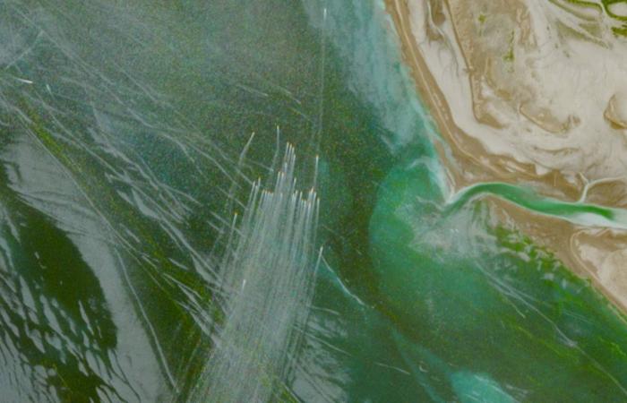 ولي
      العهد
      السعودي
      يرأس
      القمة
      الخليجية
      التشاورية