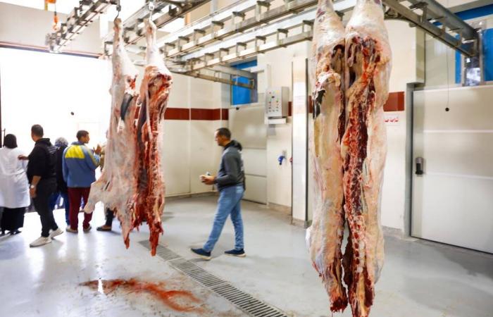 «فتنة
      غذائية»
      تربك
      مصريين
      وتؤجج
      هواجسهم
      نحو
      «الطعام
      الصحي»