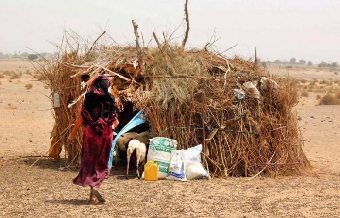 تحذيرات
      دولية
      من
      اتساع
      المجاعة
      في
      اليمن