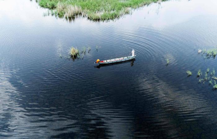 الأمطار
      الهاطلة
      بعد
      جفاف
      تضخ
      المياه
      والحياة
      في
      أهوار
      العراق