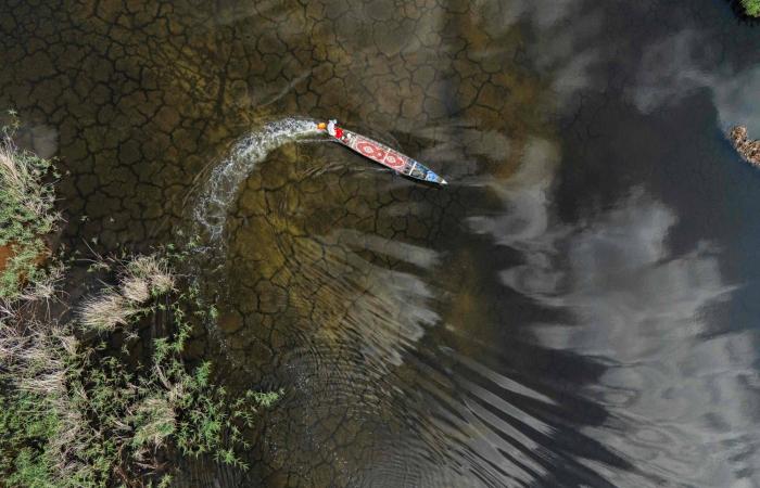 الأمطار
      الهاطلة
      بعد
      جفاف
      تضخ
      المياه
      والحياة
      في
      أهوار
      العراق