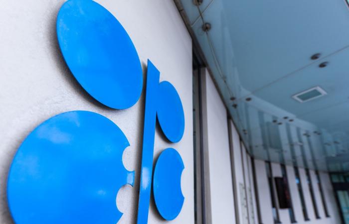 هل تنسحب الإمارات من منظمات أخرى بعد أوبك؟ مصدر مسؤول يرد لـCNN