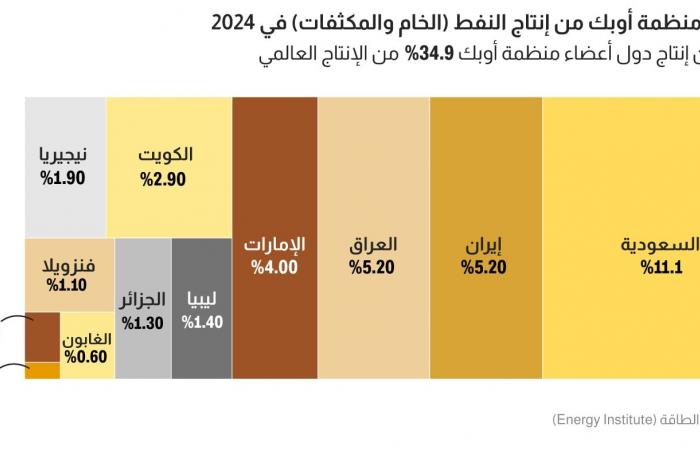 أرقام لفهم معنى انسحاب الإمارات من أوبك وحصتها وقدرتها الفعلية اليومية