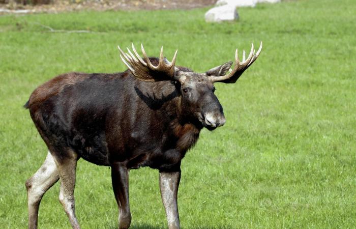 أغلى
      أطعمة
      في
      العالم...
      هل
      توازي
      قيمتُها
      الغذائية
      قيمتَها
      المادية؟