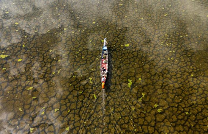 الأمطار
      الهاطلة
      بعد
      جفاف
      تضخ
      المياه
      والحياة
      في
      أهوار
      العراق