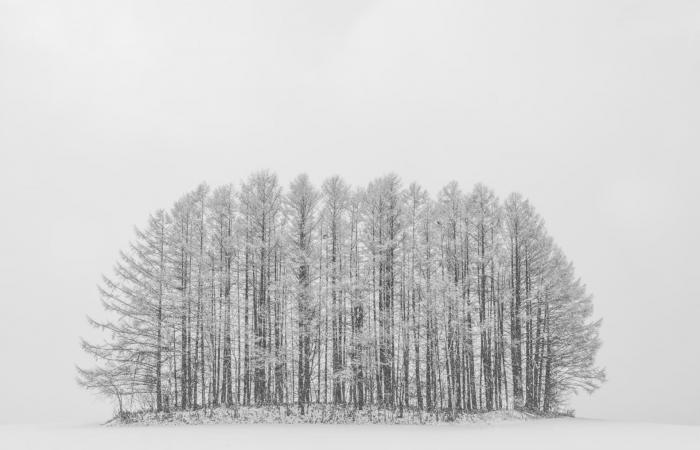 تغرق بعزلة تامّة.. مشاهد آسرة من جزيرة بيضاء في اليابان خالية من البشر
