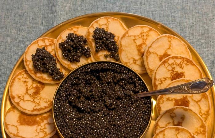 رافا
      موليس:
      «الشفقة»
      محاولة
      لالتقاط
      صوت
      الجليد
      ككائن
      حي