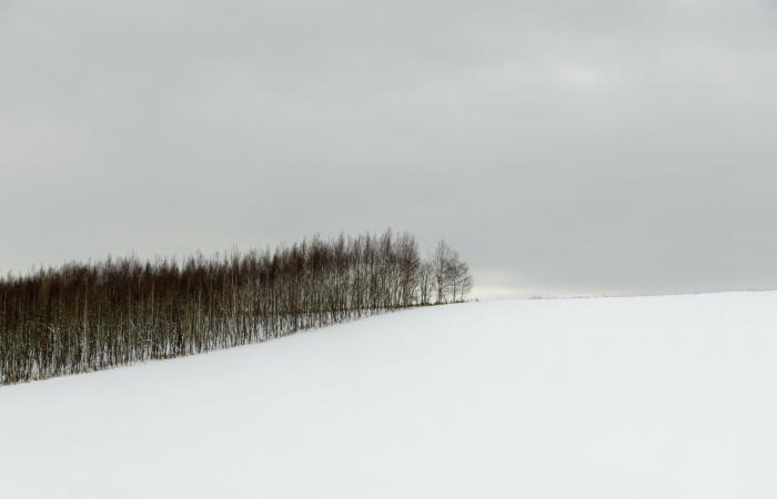 تغرق بعزلة تامّة.. مشاهد آسرة من جزيرة بيضاء في اليابان خالية من البشر