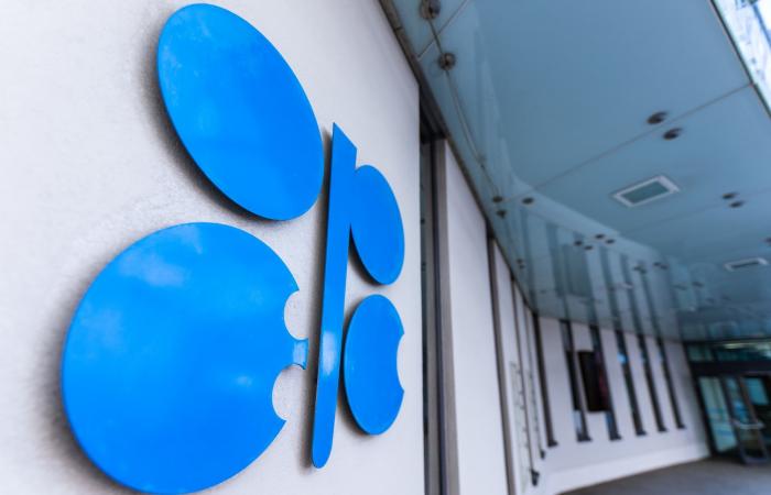 أوبك وكيف أثر إعلان انسحاب الإمارات على أسعار النفط؟