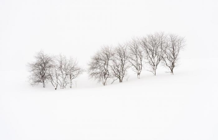تغرق بعزلة تامّة.. مشاهد آسرة من جزيرة بيضاء في اليابان خالية من البشر