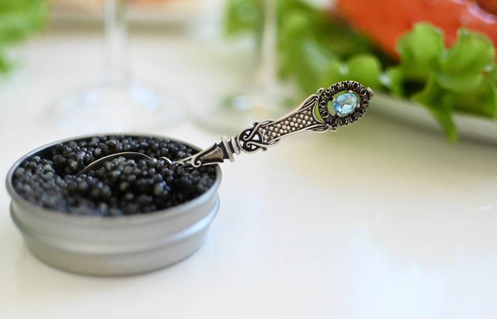 رافا
      موليس:
      «الشفقة»
      محاولة
      لالتقاط
      صوت
      الجليد
      ككائن
      حي