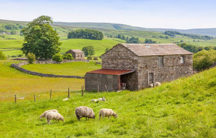 «يدي
      كالي
      وساماتيا»...
      أجواء
      فريدة
      وفرص
      للاكتشاف
      لا
      حصر
      لها
      في
      إسطنبول
      التاريخية