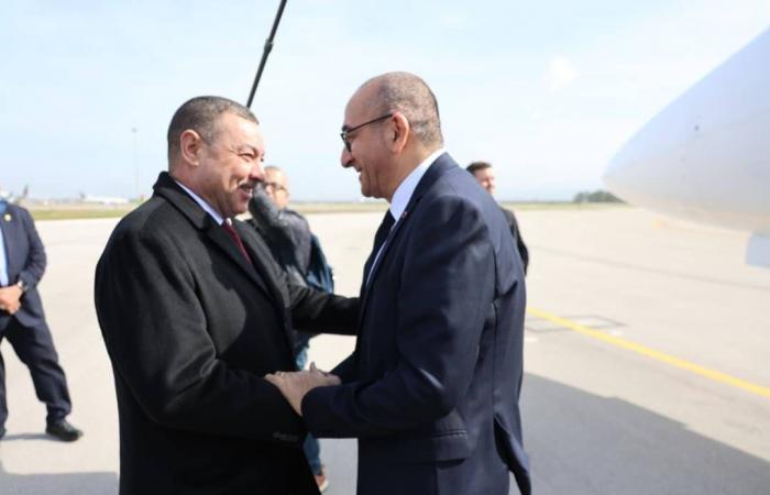 الجزائر
      في
      قلب
      معركة
      الانتخابات
      الرئاسية
      الفرنسية