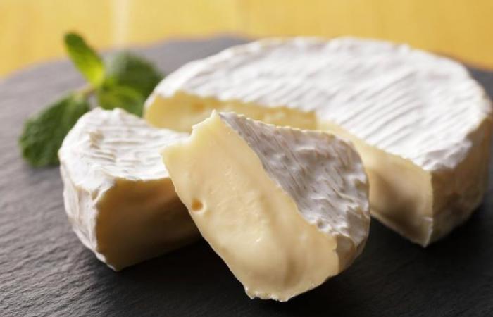 رافا
      موليس:
      «الشفقة»
      محاولة
      لالتقاط
      صوت
      الجليد
      ككائن
      حي