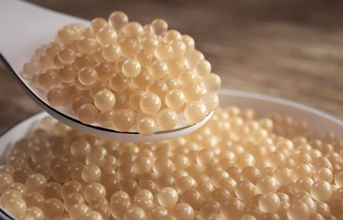 رافا
      موليس:
      «الشفقة»
      محاولة
      لالتقاط
      صوت
      الجليد
      ككائن
      حي