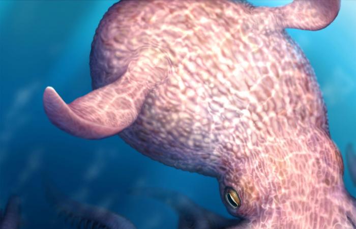 أدلة نادرة تكشف عن أخطبوطات عملاقة في عمق البحار من عصر الديناصورات