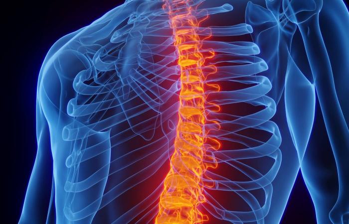 «التهاب
      الفقار
      اللاصق»...
      إشارات
      مبكرة
      وتشخيص
      متأخر