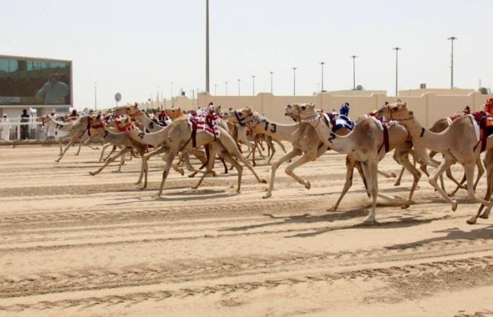إشادة باللجنة المنظمة