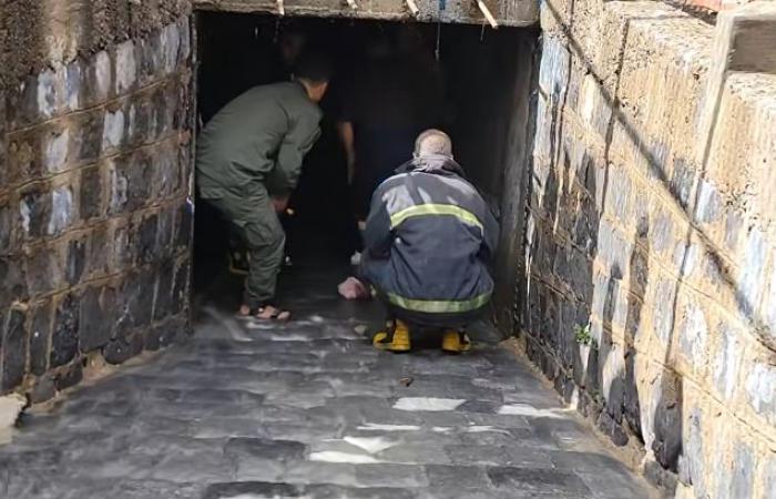 ضبط
      خلية
      اغتالت
      أكاديمياً
      يمنياً
      وتخطط
      لاستهداف
      شخصيات
      أخرى