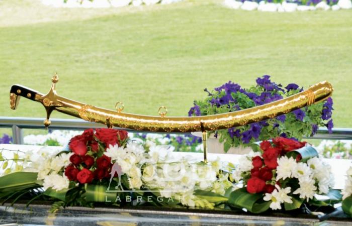 مهرجان سمو الأمير للهجن| صراع مثير بميدان التحدي على السيف الذهبي